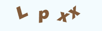 Image Verification Code
